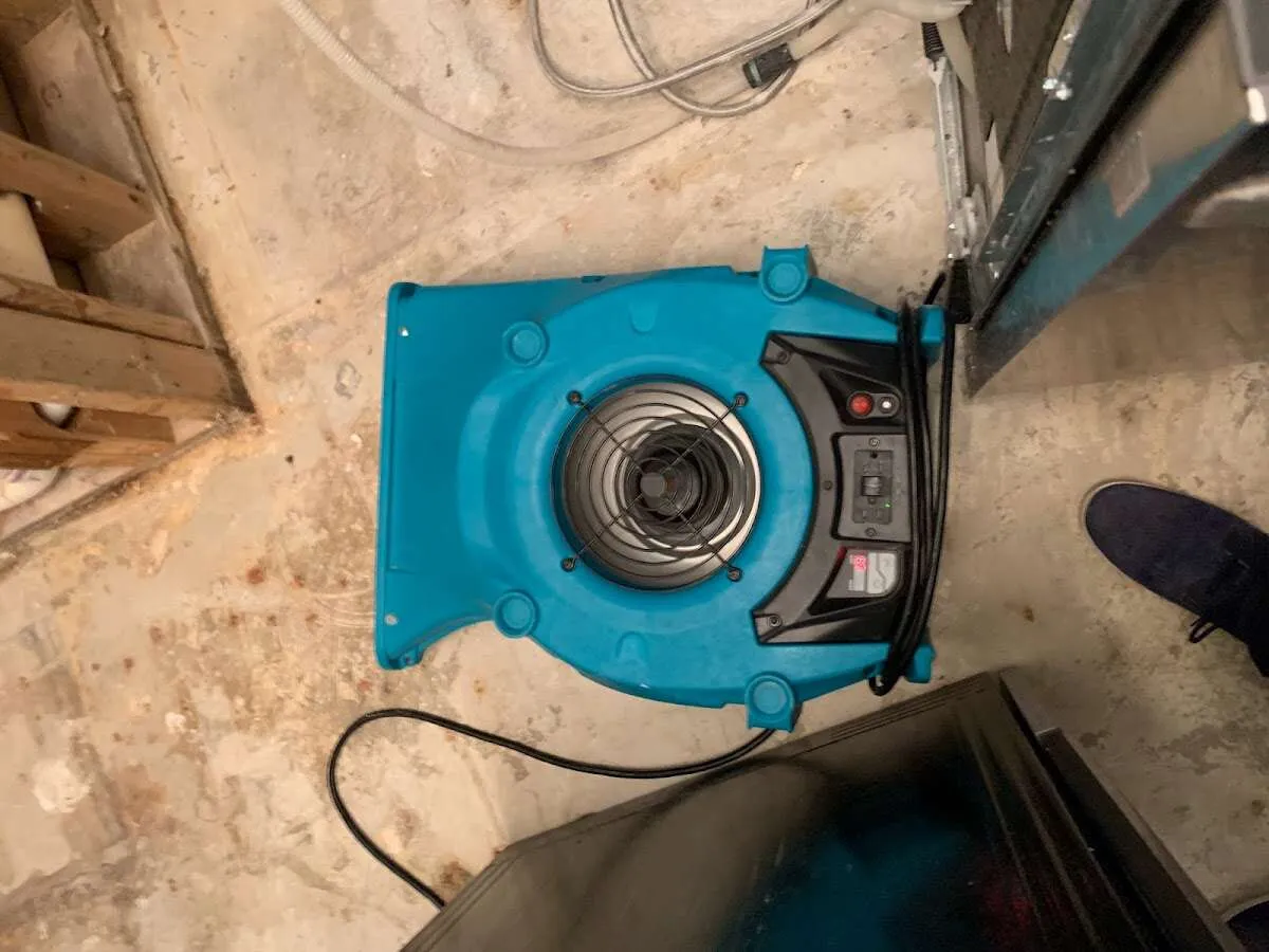 Air mover drying equipment for Mold Remediation & Removal in Solana Beach