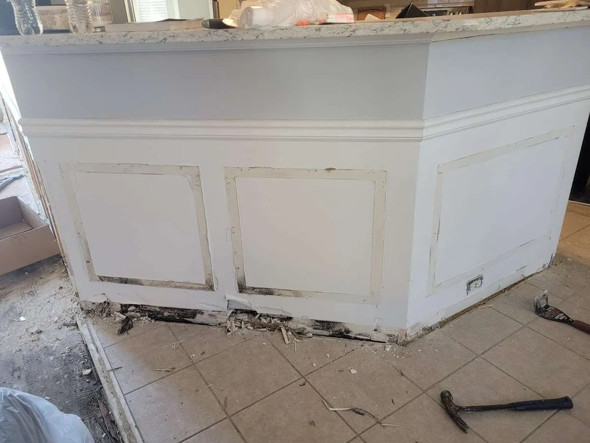 Water damage and mold on kitchen during Sewage Cleanup & Sanitation in Solana Beach